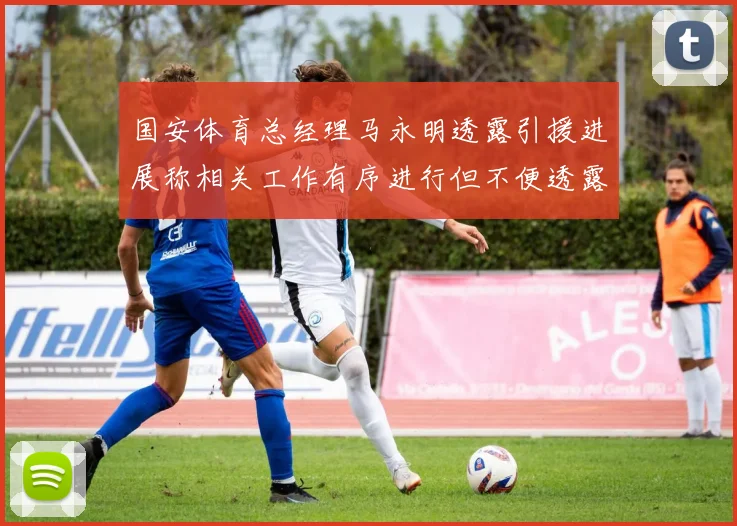 国安体育总经理马永明透露引援进展称相关工作有序进行但不便透露名字